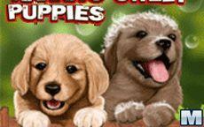 Hanna's Sweet Puppies
