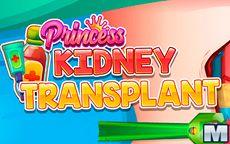 Princess Kidney Transplant